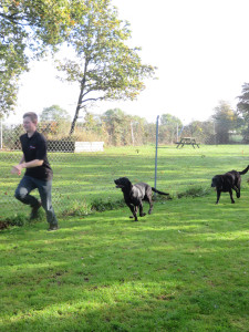 PHOTO: 2 black labradors chasing Kyle
