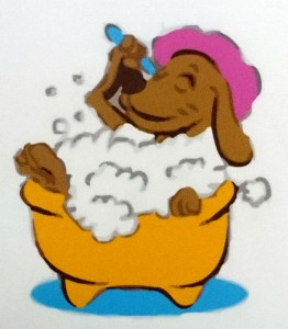 Image: Dog in mini spa
