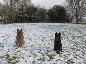 L-2-shepherds-in-the-snow-2882