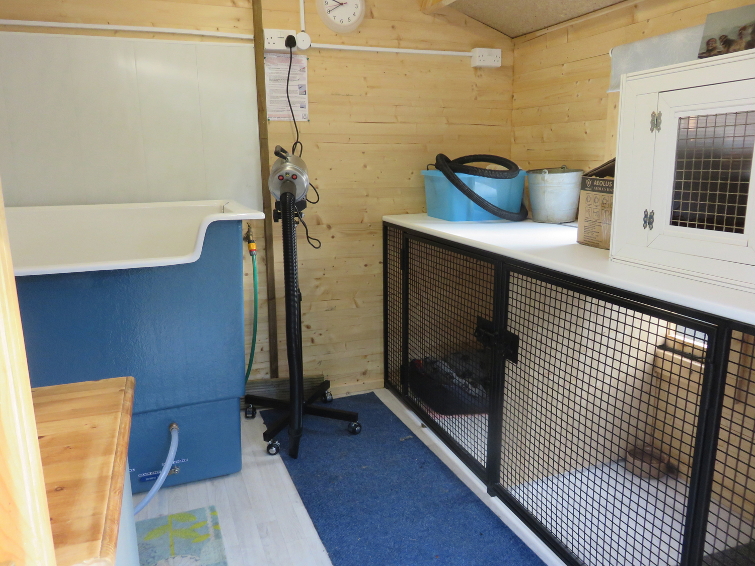 MINI SPA for DOGS at Collaton Kennels