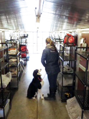 PHOTO - internal-view-of-kennels